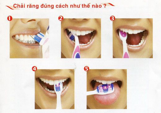 Những bước đánh răng cơ bản giúp quá trình trắng răng diễn ra nhanh hơn-khoedptainha.vn